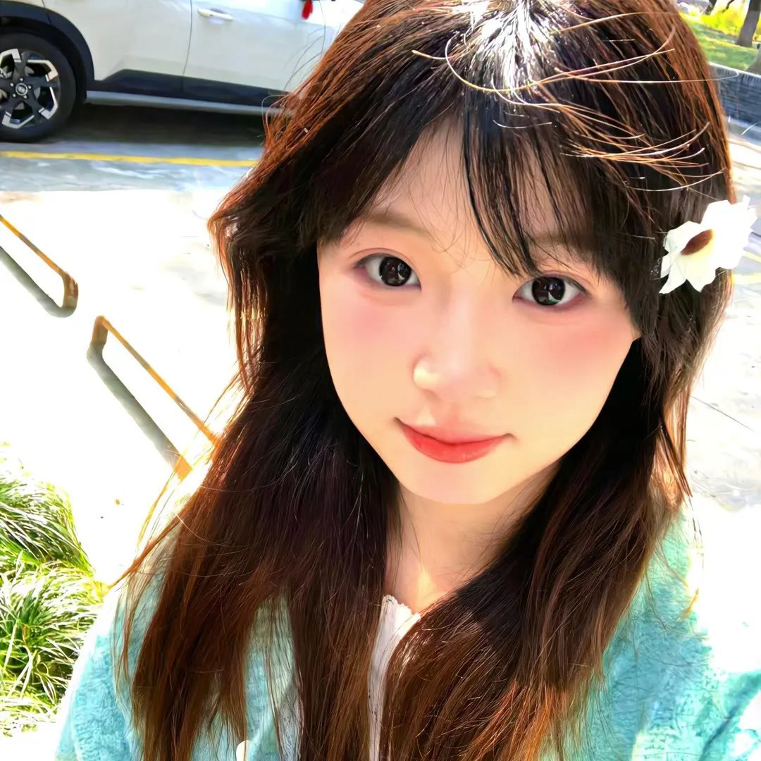 我的猪队友